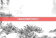 三国杀内奸如何巧妙获分？
