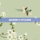 剑灵拳师PK技巧全解析