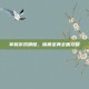 掌握游戏精髓，体质圣典全面攻略