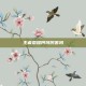 王者荣耀阿珂厉害吗