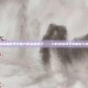 揭秘魔兽世界中的九职业巫妖王——九职业巫妖王的崛起与挑战
