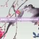 新破天一剑窝窝，揭秘游戏内隐藏的宝藏