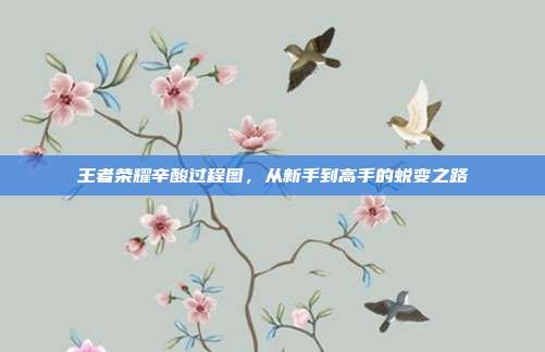 王者荣耀辛酸过程图,从新手到高手的蜕变之路