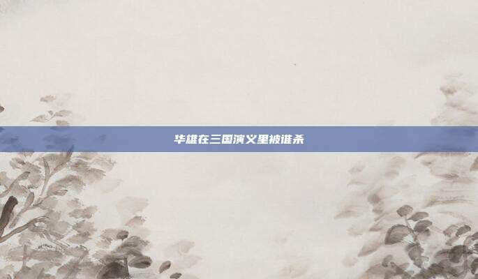 华雄在三国演义里被谁杀