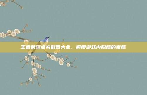 王者荣耀点券截图大全,解锁游戏内隐藏的宝藏