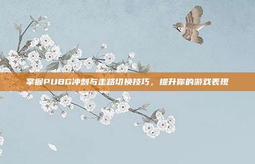 掌握PUBG冲刺与走路切换技巧,提升你的游戏表现