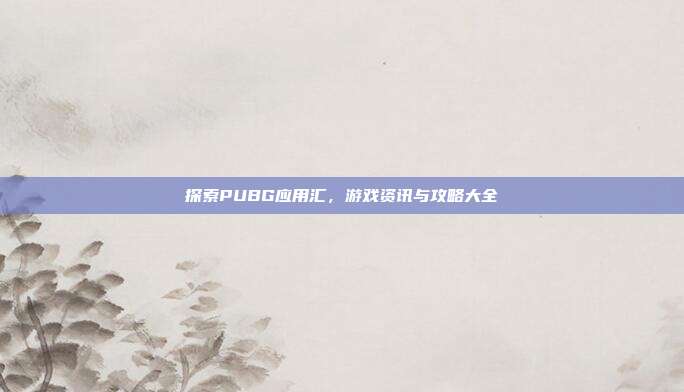 探索PUBG应用汇,游戏资讯与攻略大全