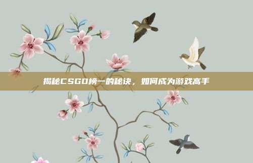 揭秘CSGO榜一的秘诀,如何成为游戏高手