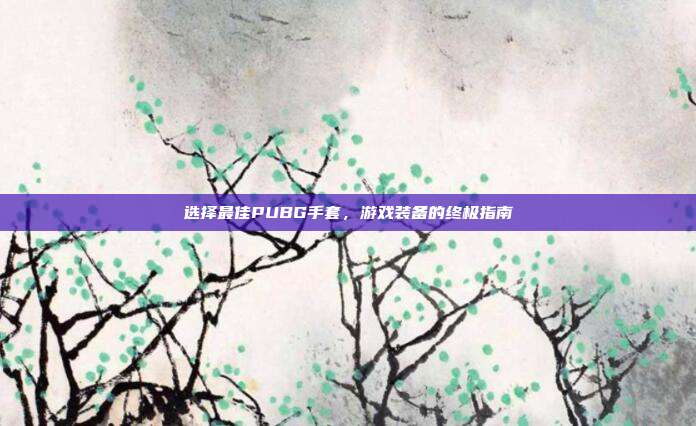 选择最佳PUBG手套,游戏装备的终极指南
