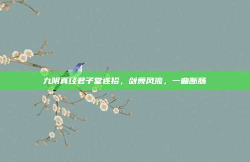 九阴真经君子堂连招，剑舞风流，一曲断肠