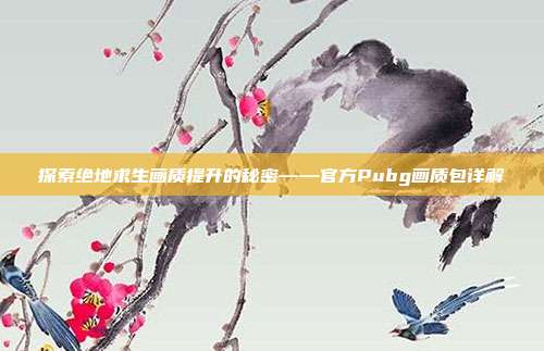 探索绝地求生画质提升的秘密——官方Pubg画质包详解