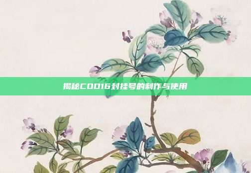 揭秘COD16封挂号的制作与使用