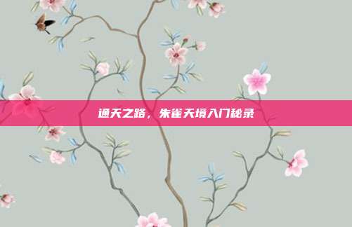 通天之路，朱雀天境入门秘录