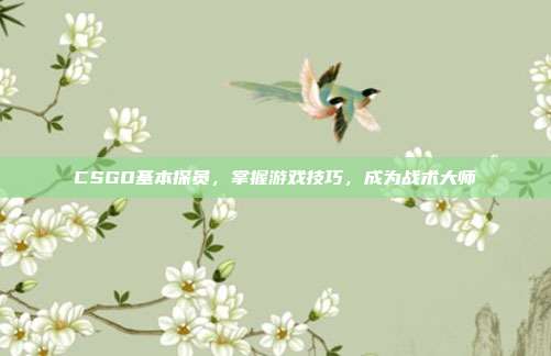 CSGO基本探员,掌握游戏技巧,成为战术大师