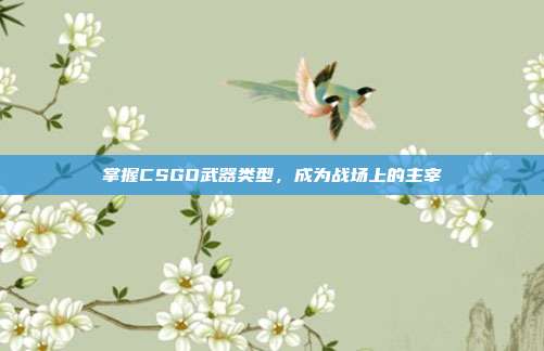 掌握CSGO武器类型，成为战场上的主宰