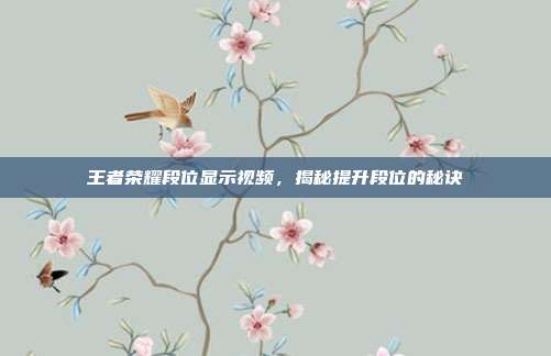 王者荣耀段位显示视频,揭秘提升段位的秘诀