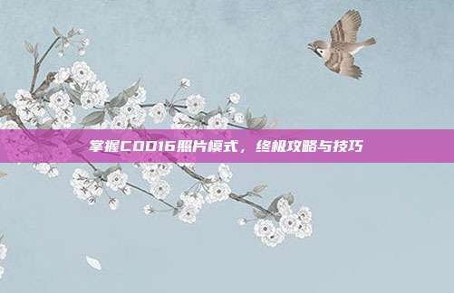 掌握COD16照片模式,终极攻略与技巧