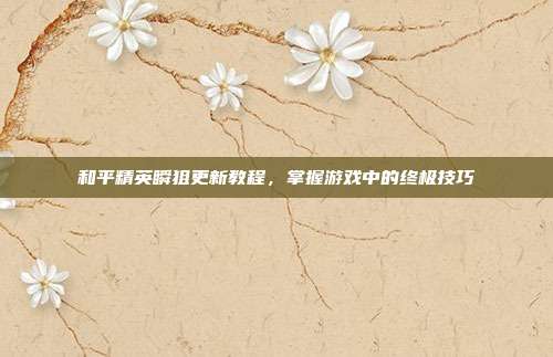 和平精英瞬狙更新教程,掌握游戏中的终极技巧