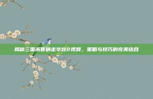 揭秘三国杀曹瞒走华容2视频，策略与技巧的完美结合