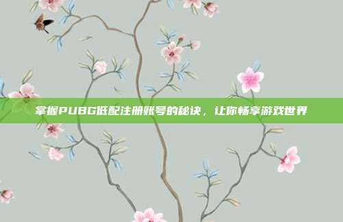 掌握PUBG低配注册账号的秘诀，让你畅享游戏世界