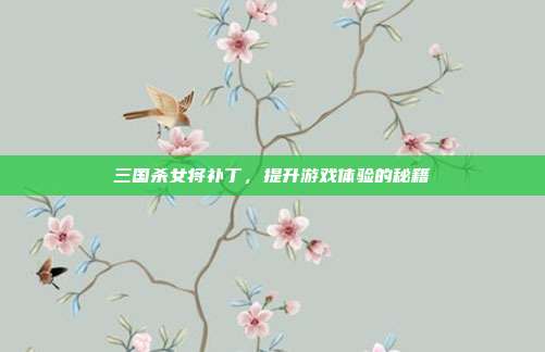 三国杀女将补丁，提升游戏体验的秘籍