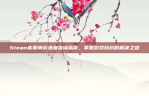 Steam客服申诉进度查询指南，掌握游戏纠纷的解决之道