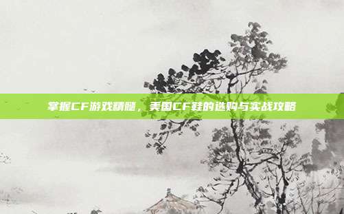 掌握CF游戏精髓，美国CF鞋的选购与实战攻略