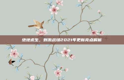 绝地求生，刺激战场2021年更新亮点解析