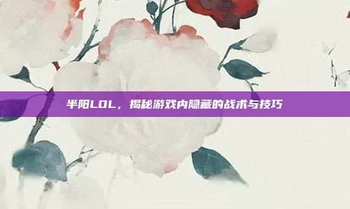半阳LOL，揭秘游戏内隐藏的战术与技巧