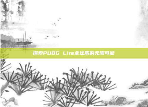 探索PUBG Lite全球服的无限可能