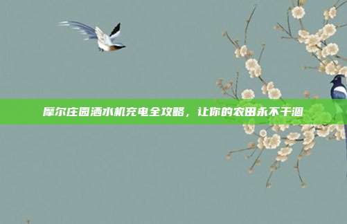 摩尔庄园洒水机充电全攻略，让你的农田永不干涸