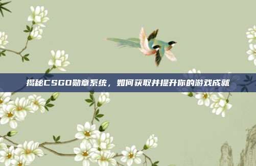 揭秘CSGO勋章系统，如何获取并提升你的游戏成就