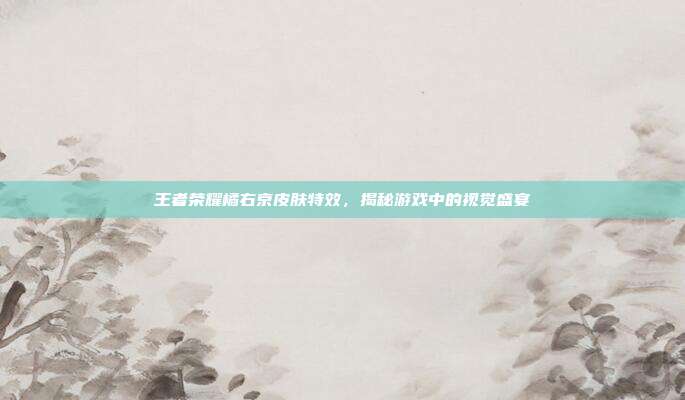 王者荣耀橘右京皮肤特效,揭秘游戏中的视觉盛宴