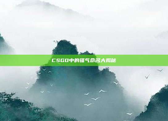 CSGO中的骚气命名大揭秘