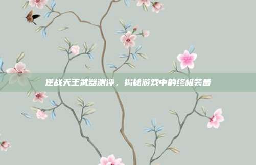 逆战天王武器测评，揭秘游戏中的终极装备