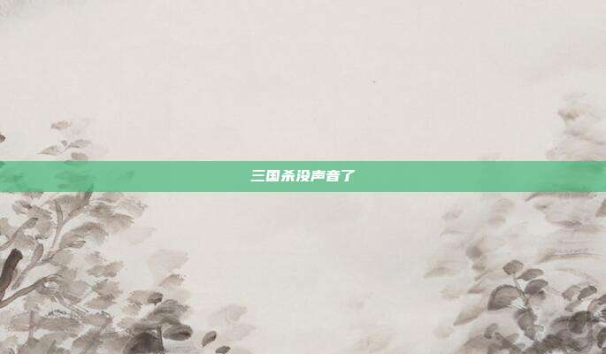 三国杀没声音了