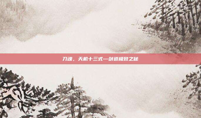 刀魂，天机十三式—剑道极致之秘