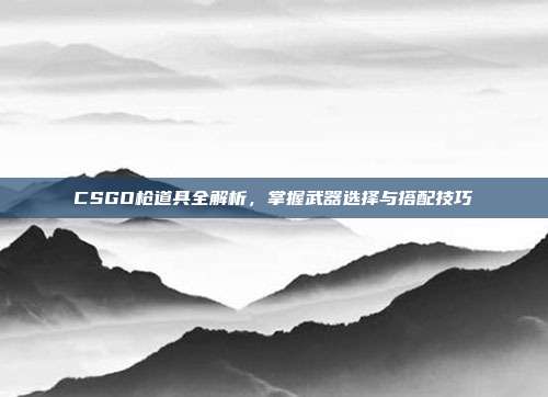 CSGO枪道具全解析,掌握武器选择与搭配技巧