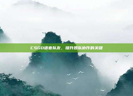 CSGO语音队友,提升团队协作的关键