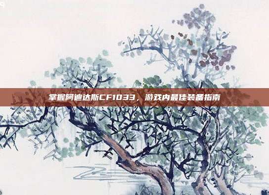 掌握阿迪达斯CF1033,游戏内最佳装备指南