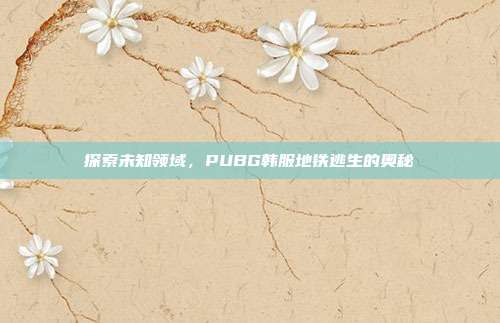 探索未知领域,PUBG韩服地铁逃生的奥秘