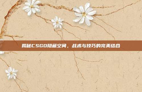 揭秘CSGO隐藏空间,战术与技巧的完美结合