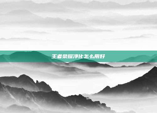 王者荣耀净化怎么用好