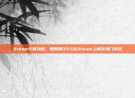 Steam充值攻略,如何用35元在Steam上畅玩热门游戏