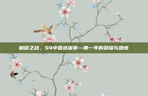 破晓之战，S4中国选拔赛—那一年的荣耀与遗憾