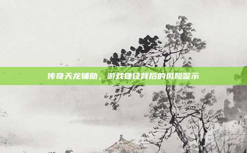 传奇天龙辅助，游戏捷径背后的风险警示