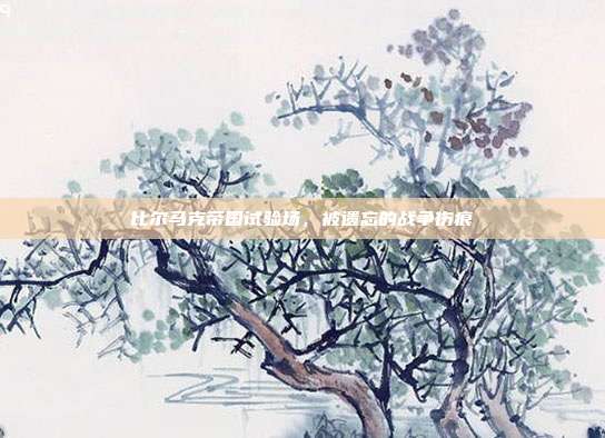 比尔马克帝国试验场，被遗忘的战争伤痕