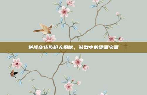 逆战奇特步枪大揭秘,游戏中的隐藏宝藏