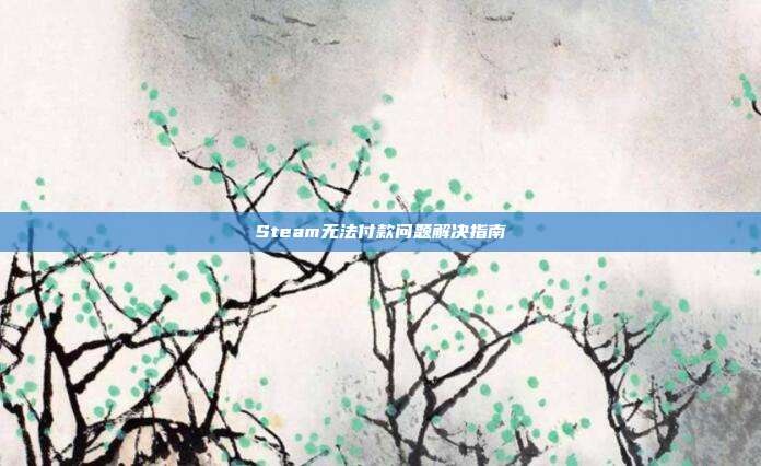 Steam无法付款问题解决指南