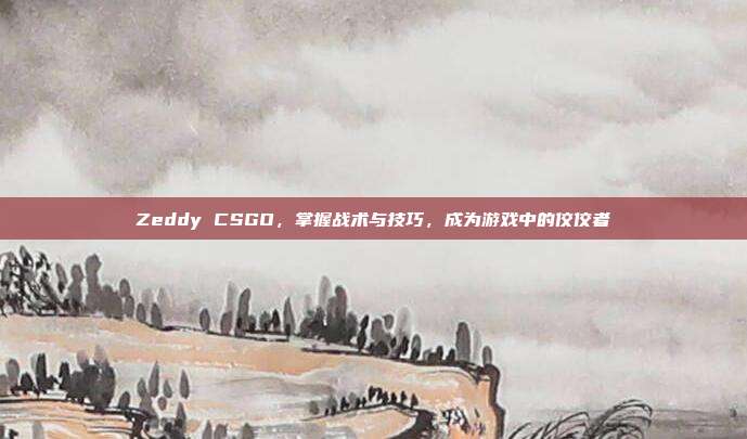 Zeddy CSGO，掌握战术与技巧，成为游戏中的佼佼者